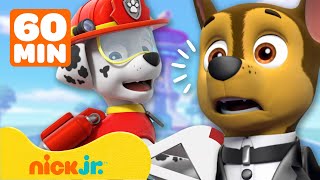 PAW Patrol  1 uur lang spionagemissies en reddingen  Nick Jr Nederlands [upl. by Gareri]