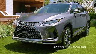 Lease Inspiration  2020 Lexus RX 450 Hybrid Overview with Townsend Bell  Lexus [upl. by Nauhs]