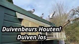 Duiven beurs houten  Duif gekocht  De duiven weer los [upl. by Nyltac]