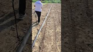 sprinkler system oscillating sprinkler irrigation control shorts supplier lifehack crop land [upl. by Anaele]