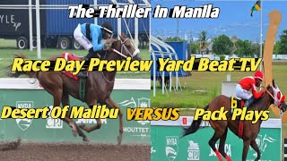 RACE DAY PREVIEW Saturday November 92024YARD BEAT TV [upl. by Anyaj]