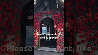 Remembrance Sunday remembranceday poppy [upl. by Nael]