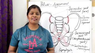 ligament of pelvic in hindi  sacroiliac ligament  Interpubic ligament  sacrotuberous ligament [upl. by Ferrand961]