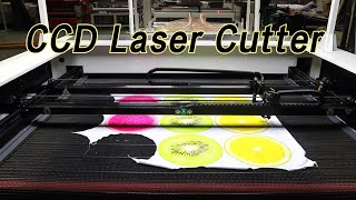 CCD Print Pattern Fabric Laser Cutting Machine [upl. by Deth]