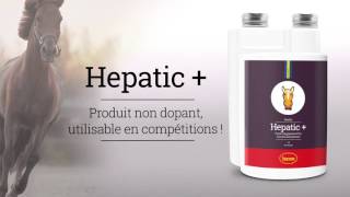 Husse  Draineur hépatique pour cheval Hepatic [upl. by Annaeerb]