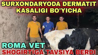 DERMATIT KASALIGI GUNAJINGA HAM YUQUBTI DAVOLASH BOSHLANDI [upl. by Yzzik530]