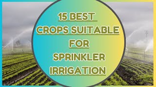 15 Best crops suitable for Sprinkler Irrigation  Sprinkler irrigation crops sprinklerirrigation [upl. by Nehgaem]