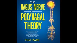 Unlock The Power Of Your Vagus Nerve Audiobook [upl. by Acir]