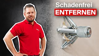 HohlraumMetalldübel aus Wand entfernen [upl. by Avir]