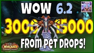 WoW 62 Gold Guide Farming Serpentshrine Cavern Raid for Possible Pets up to 15000 Gold WoD [upl. by Kieran706]