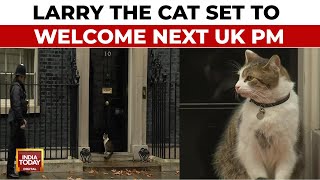 UKs Larry The Cat Poised To Welcome Britains Next Prime Minister [upl. by Atsahs356]