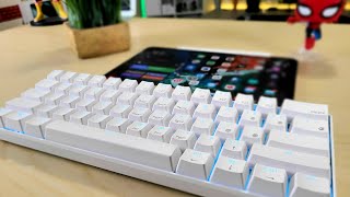 My Favorite New Portable Mechanical Keyboard for iPad Pro RK61 Review [upl. by Ieluuk514]