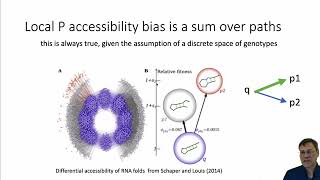 The role of the mutation spectrum in evolution introduction [upl. by Sorrows846]