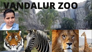 Vandalur Zoo 2022। Hindi vlog। Arignar Anna zoological Park। चेन्नई का चिड़ियाघर। India Largest Zoo [upl. by Danczyk]