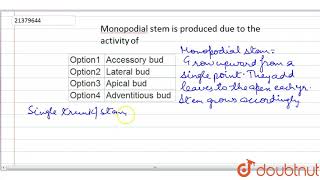 Monopodial stem is produced due to the activity of [upl. by Midan]