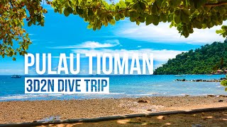 PULAU TIOMAN DIVE TRIP  3 Days 2 Nights Travel Vlog  Travel Malaysia [upl. by Kath]