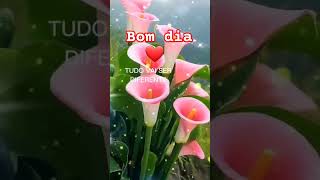 Mensagem de bom dia ⚘️ ⚘️ short [upl. by Annaoj]