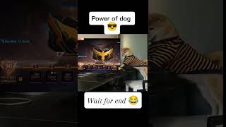 Power of dog 🐕🤣 [upl. by Luthanen120]