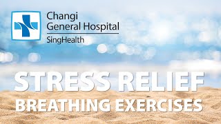 Breathing Exercises for Stress Relief [upl. by Onfroi]