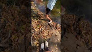 Catching Little pike out of tiny creek fishing pikefishing pike viralvideo bassfishing fyp [upl. by Ehttam]