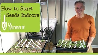 How I Start Seeds Indoors Tips amp Techniques [upl. by Leda370]