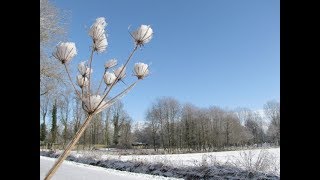 20180325 ARohoman  Gezegend is Hij die komt in de naam van de Heer [upl. by Aimet666]