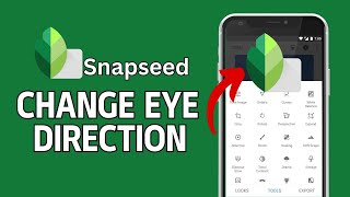 How to Change Eye Direction in Snapseed 2024 [upl. by Lunetta]