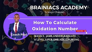 How To Calculate Oxidation Number [upl. by Nnaylime]