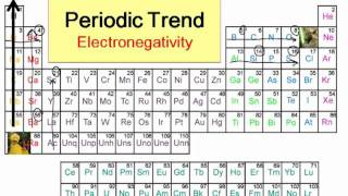 Periodic Trends in Electronegativity [upl. by Ennairb]