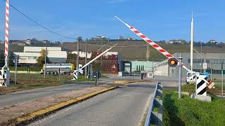 Passaggio a livello Neive CN Sp 194 nuova versione  Level crossing  Spoorwegovegang [upl. by Aihsemat578]