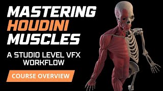 COURSE OVERVIEW Master Houdini Muscle Simulation StudioLevel VFX Workflow houdini cfx [upl. by Aibar]