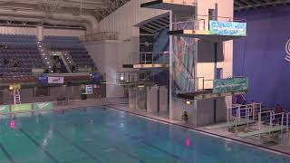 Swim Ireland Open Diving Championships 2024  Session 1 [upl. by Photima]