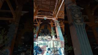 Todaiji Temple in Japan houses the worlds largest bronze Buddha statue standing 15 meters tall [upl. by Natiha]