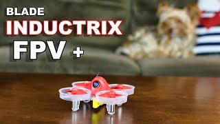 Blade Inductrix FPV Plus Indoor Drone  MEOW MODE  TheRcSaylors [upl. by Roselani10]