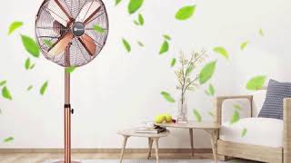 SS 1601R0A 16 Inches 4 Aluminum Blades Stand Fan [upl. by Dolley]