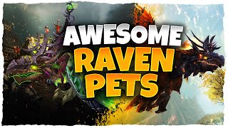 ON THE HUNT  RAVEN HUNTER PETS WORLD OF WARCRAFT [upl. by Gnahc]