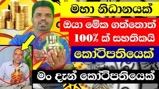 මම දැන් කෝටිපතියෙක් ☘️ මේක මහා නිධානයක්  Srilankan Millionaires salli sallisalli sallipokuru [upl. by Naivad]