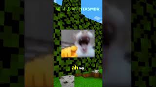 Minecraft mas A CADA INSCRITO TELEPORTA ALEATÓRIAMENTE shorts minecraft [upl. by Jeri115]