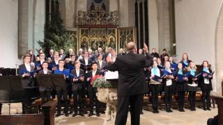 Carol Of The Bells  Doppelquartett quotAudifacquot Martin Luther Gymnasium Eisleben [upl. by Fabio]