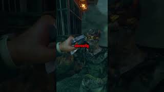 Craziest Glitch in CoD Zombies [upl. by Kironde]