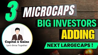 03 Microcap amp Smallcap that Big Investors Buying  Best Microcap amp Small cap stocks to buy [upl. by Alemac]