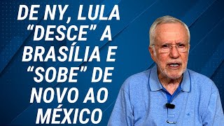 Recebem bolsa família e gastam em apostas [upl. by Llehsyt]