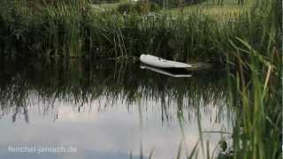 Nikon D7000 Video Summer Day [upl. by Moynahan]