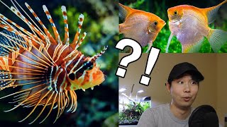 What if Fresh and Salt Water Fish IN THE SAME TANK  Fish Tank Review 53 [upl. by Zoltai]