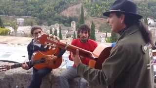 A bit of flamenco music as I gaze at Granadas Alhambra palace [upl. by Jarvis]