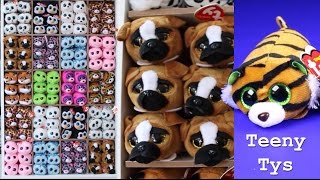 Ty Teeny Tys Full Display Set Up Ty Beanie Boo Doll Collection Beanie Boos [upl. by Amalle980]