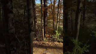 Kayla Marie BMC CVNP Towpath Lock 29 Autumn Leaves [upl. by Atekahs]