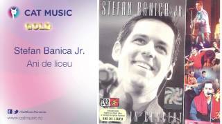 Stefan Banica Jr  Ani de liceu live [upl. by Drauode]