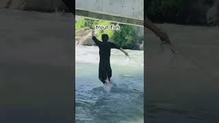 Fishing trout fish shortvideo explorethebeautyofpakistanviralvideo [upl. by Darnok]