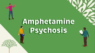 Amphetamine Psychosis [upl. by Hauser739]